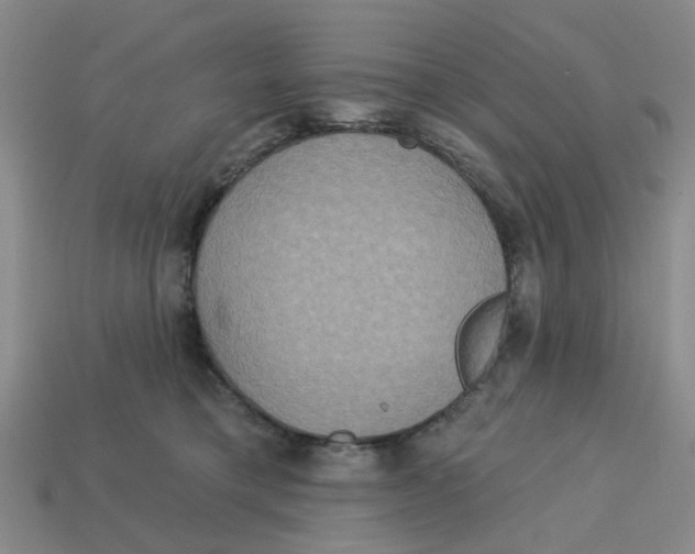 X0000113180421200910021547