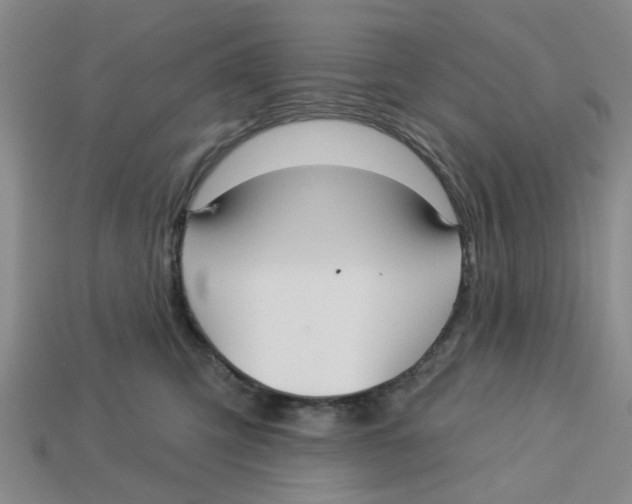 X0000113180423200910021547