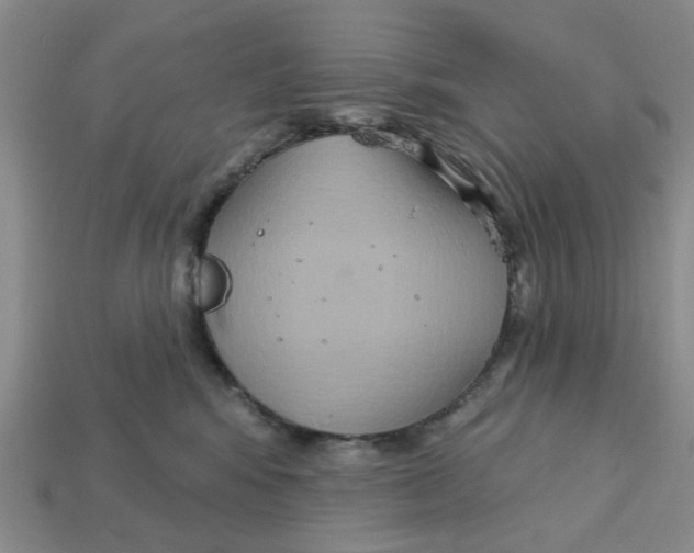 X0000113180424200910021547