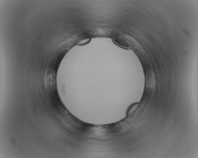 X0000113180425200910021547