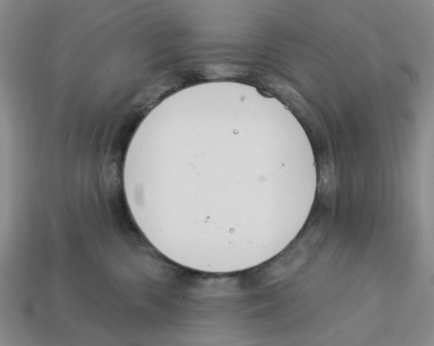 X0000113180426200910021547