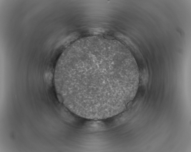 X0000113180427200910021547