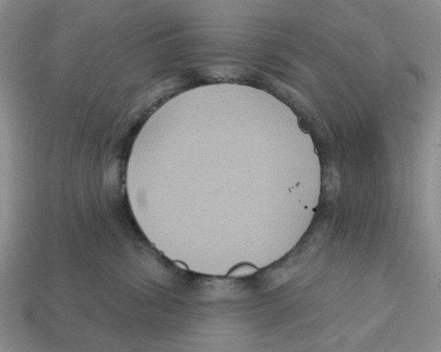 X0000113180428200910021547