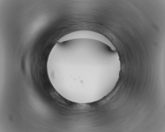 X0000113180429200910021547