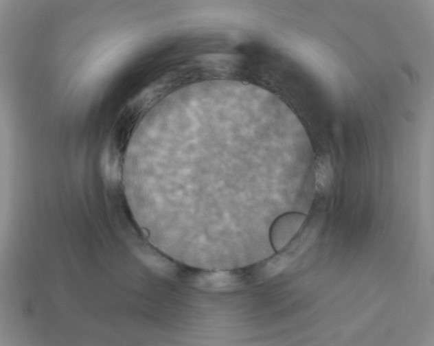 X0000113180431200910021547