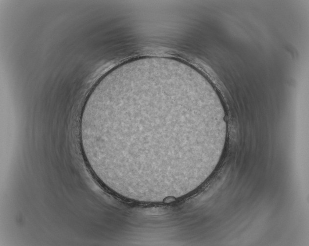 X0000113180433200910021546
