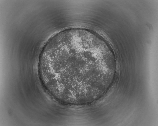 X0000113180434200910021546