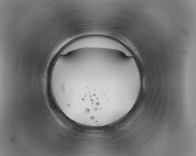 X0000113180436200910021546
