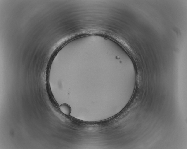 X0000113180438200910021546