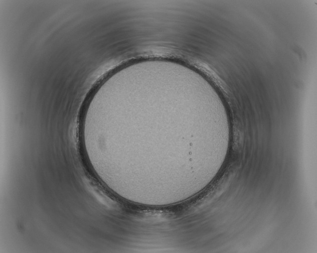 X0000113180439200910021546