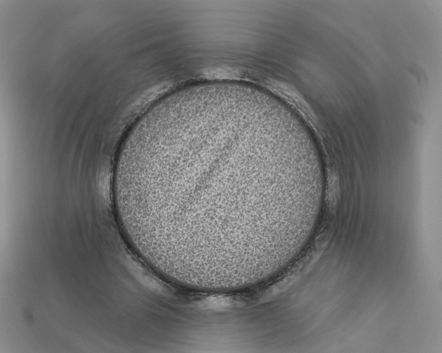 X0000113180441200910021546