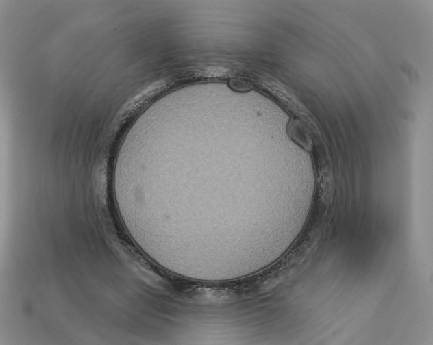 X0000113180442200910021546