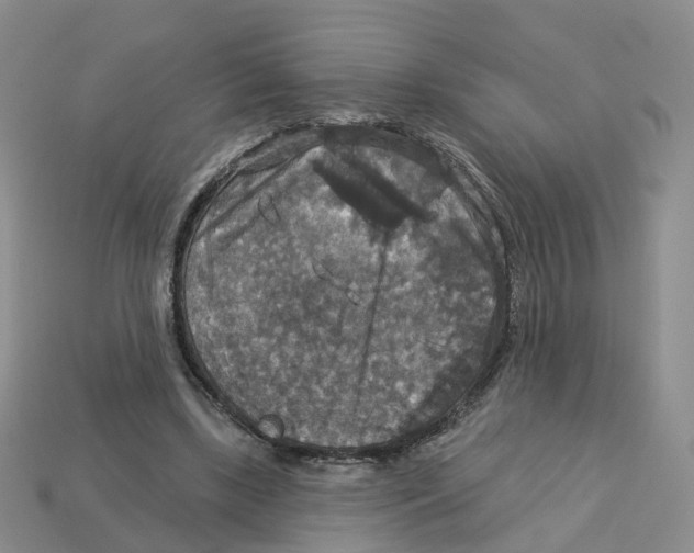 X0000113180443200910021546