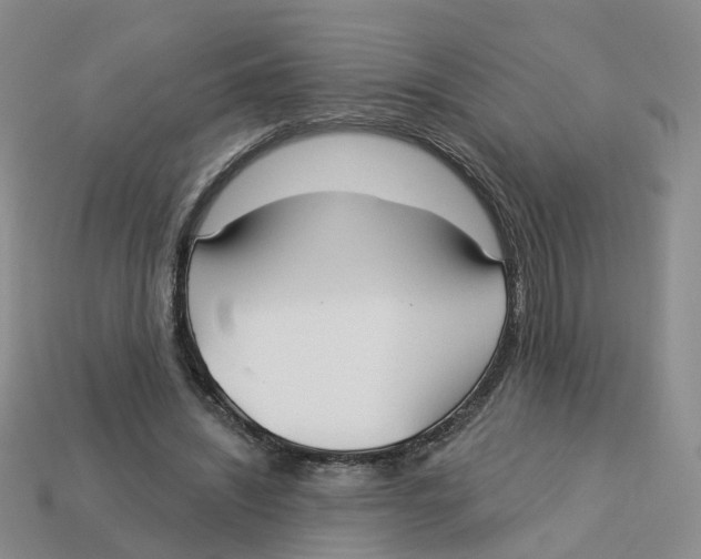 X0000113180444200910021546