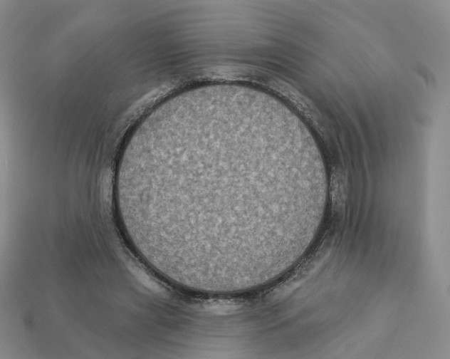 X0000113180445200910021546