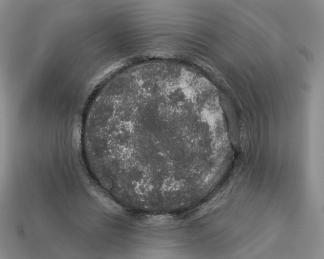 X0000113180446200910021546