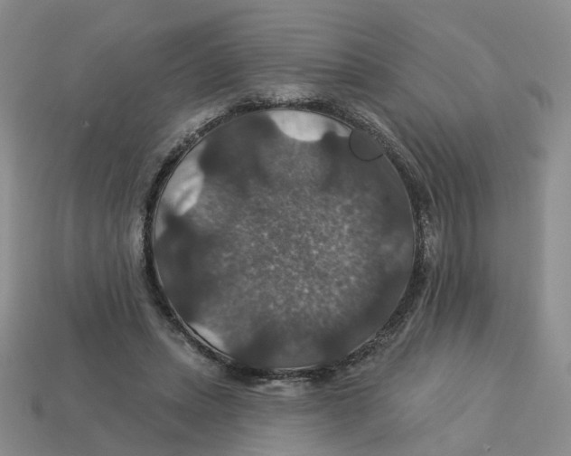 X0000113180447200910021546