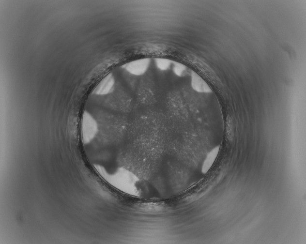 X0000113180449200910021546