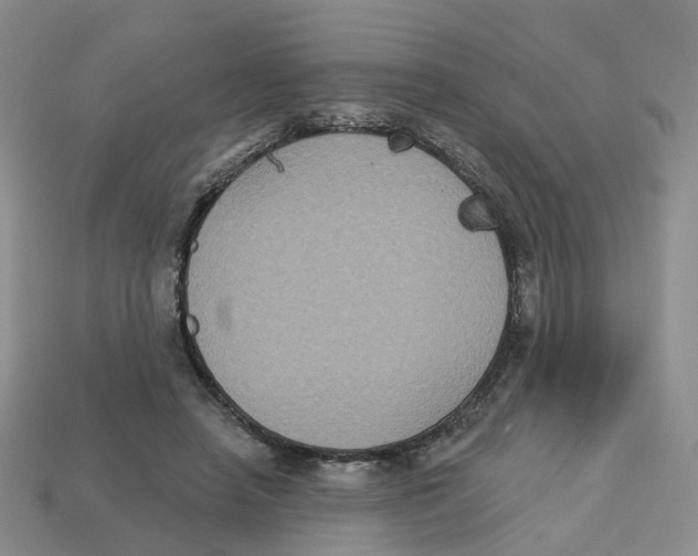 X0000113180450200910021546