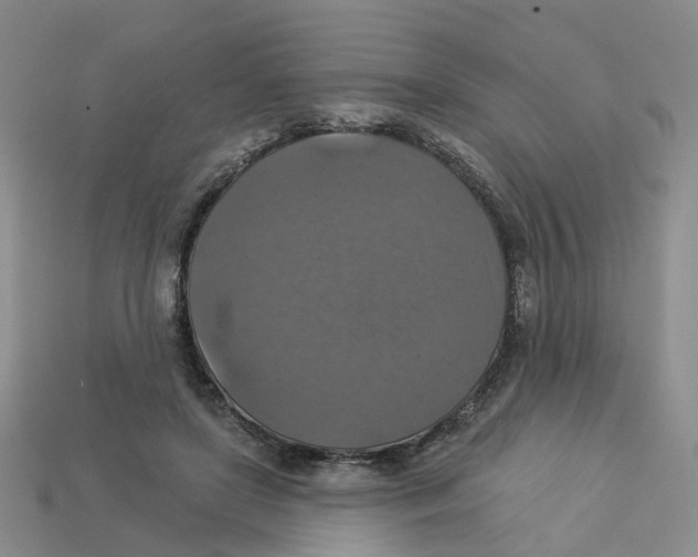X0000113180451200910021546