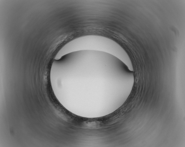 X0000113180452200910021546