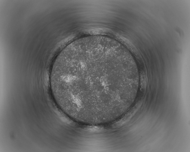 X0000113180453200910021546