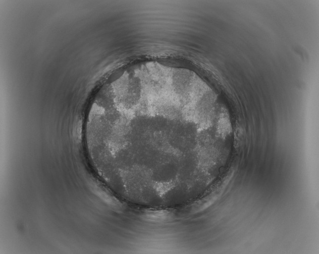 X0000113180454200910021546