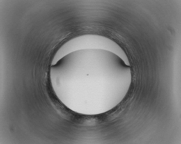 X0000113180456200910021546