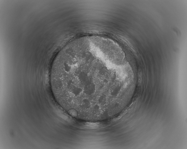 X0000113180457200910021546