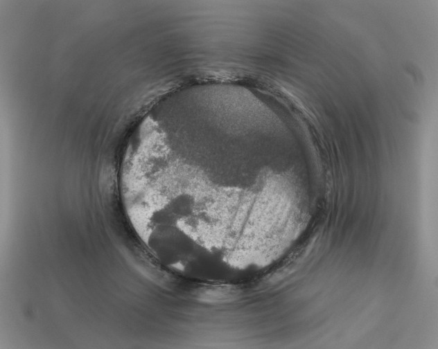 X0000113180459200910021546