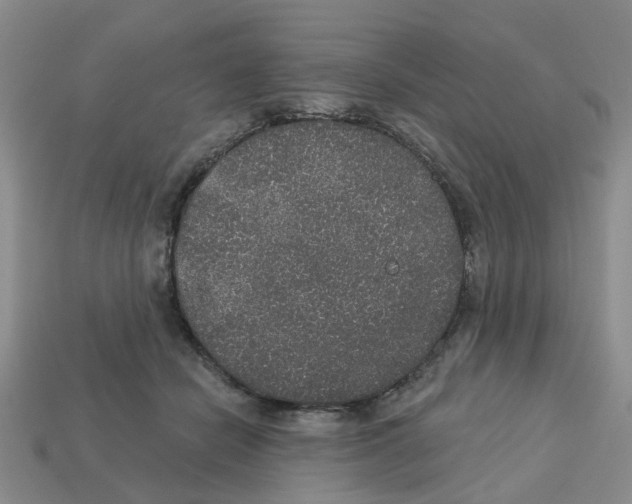 X0000113180462200910021546