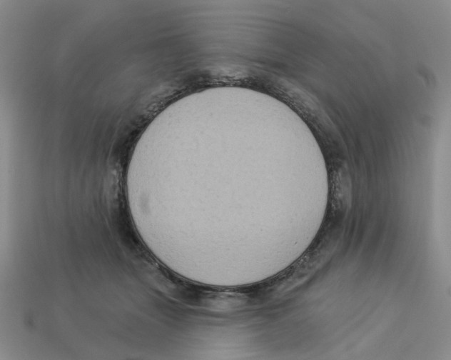 X0000113180463200910021546