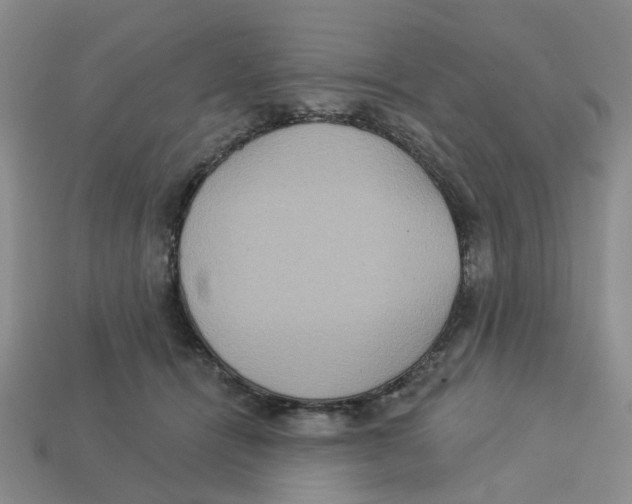 X0000113180464200910021546