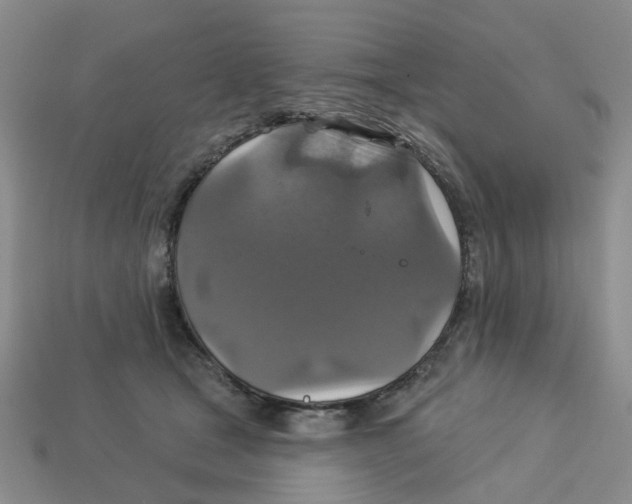 X0000113180465200910021546