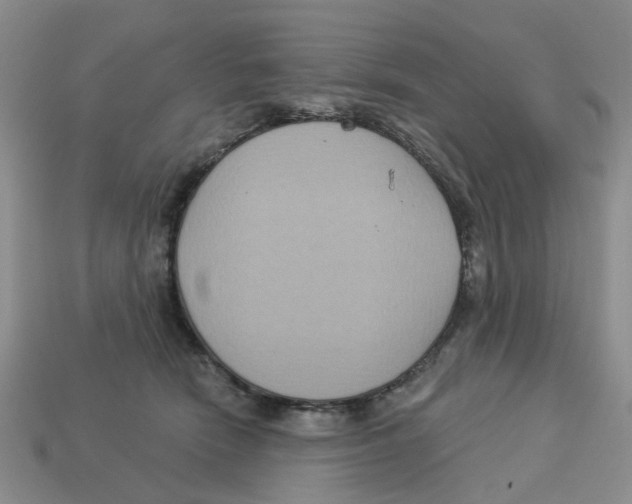 X0000113180466200910021546