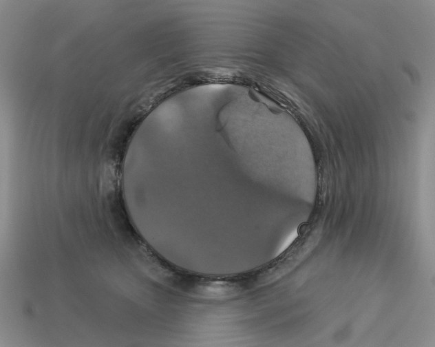 X0000113180467200910021546