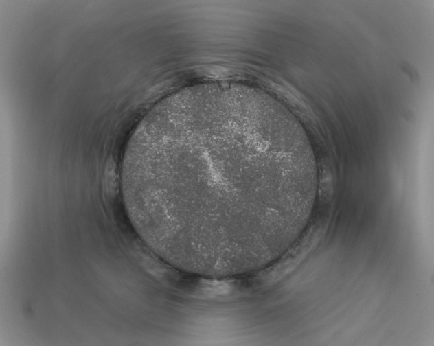 X0000113180469200910021546