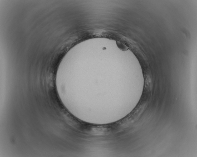 X0000113180470200910021546