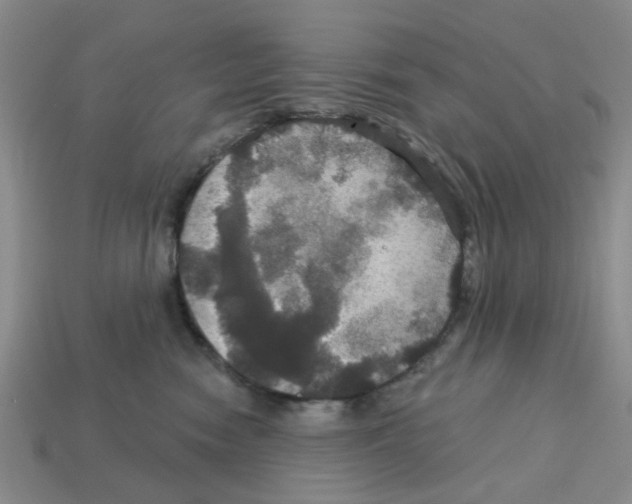 X0000113180474200910021547