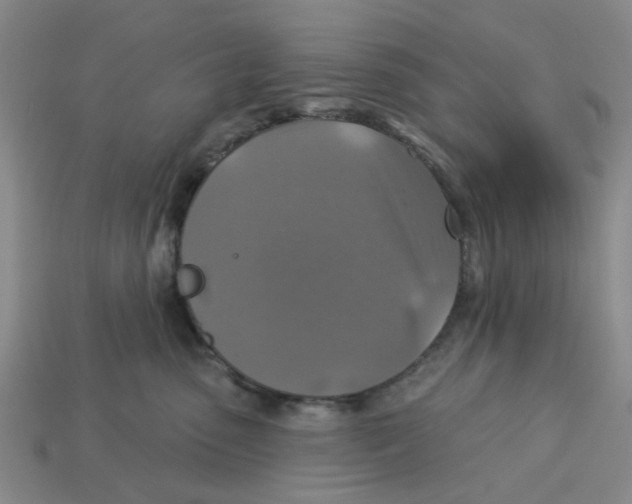 X0000113180475200910021547