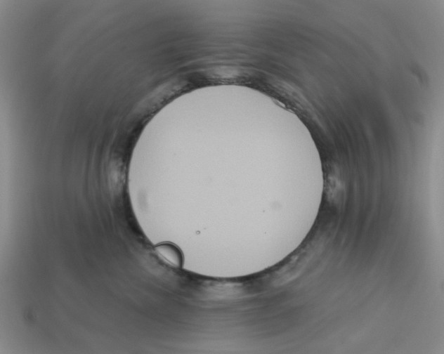 X0000113180476200910021547