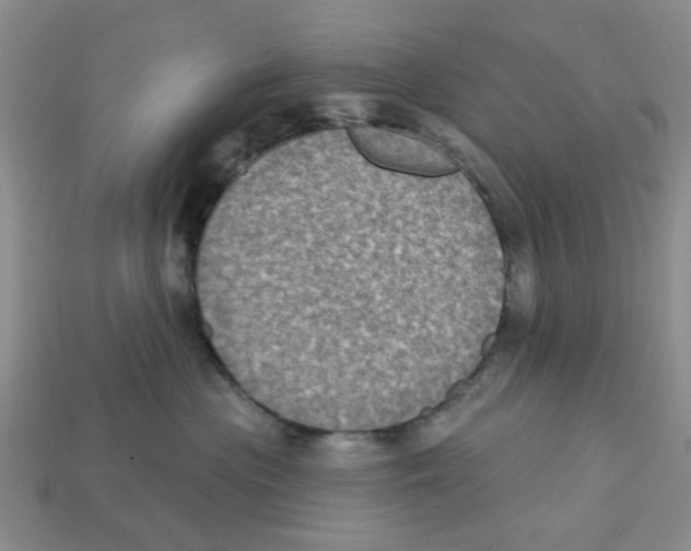 X0000113180477200910021547