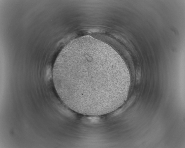 X0000113180478200910021547