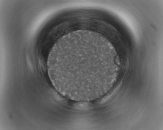 X0000113180479200910021547