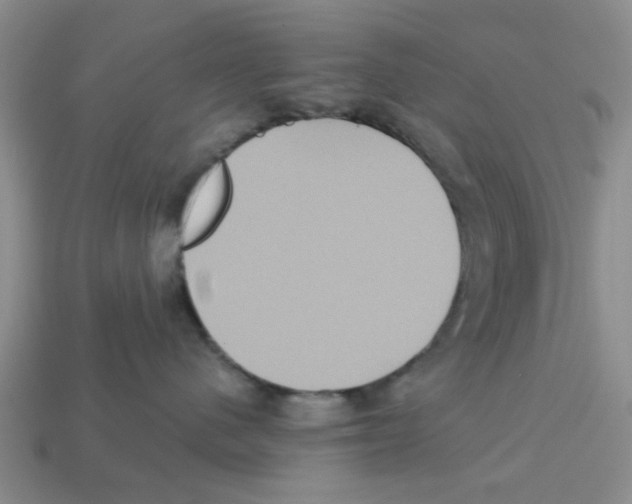 X0000113180480200910021547