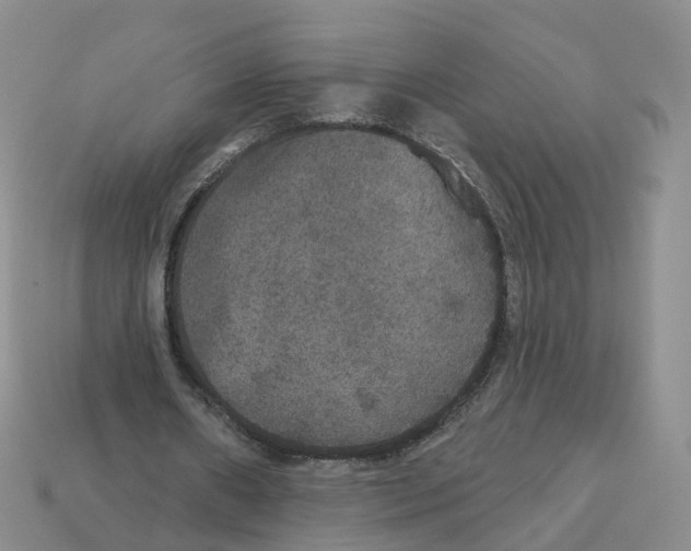 X0000113180482200910021546