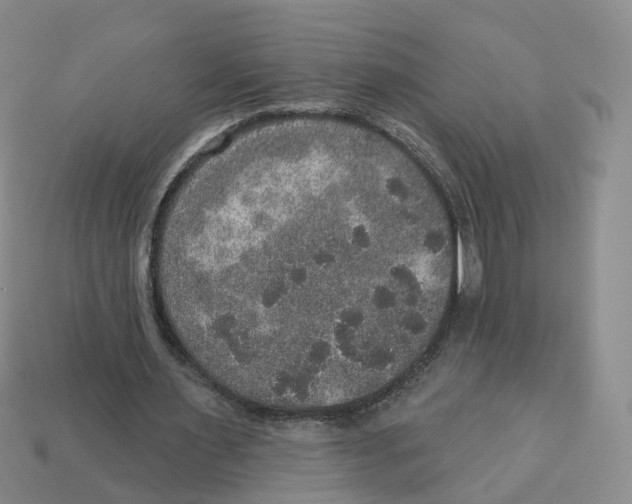 X0000113180483200910021546