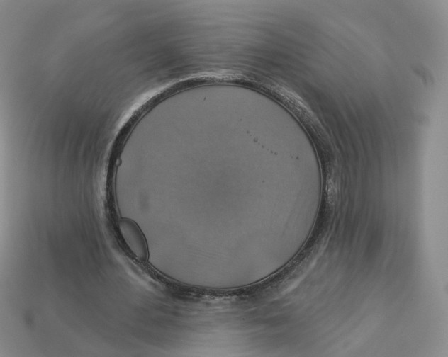 X0000113180484200910021546