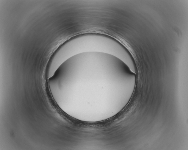 X0000113180485200910021546