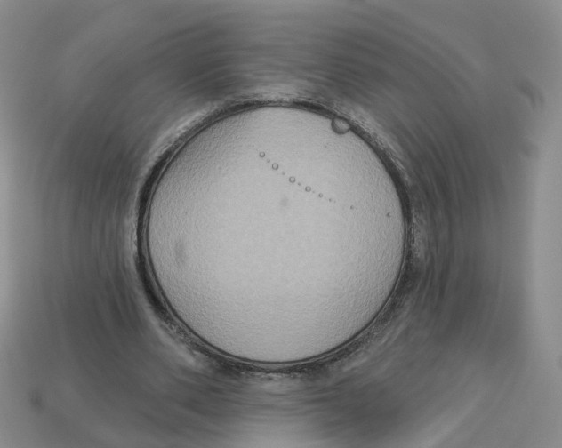 X0000113180486200910021546